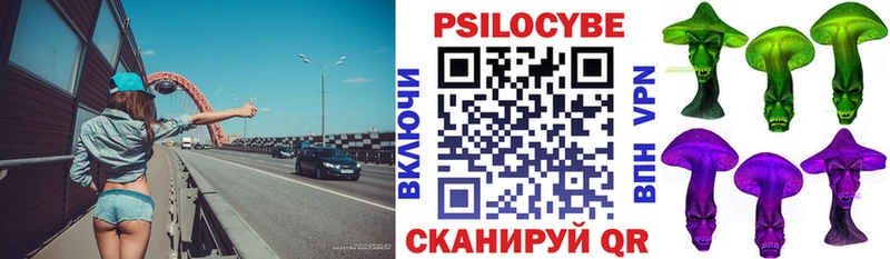 Псилоцибиновые грибы Psilocybe  Камышлов 