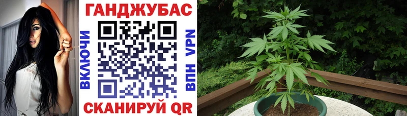 Конопля план  купить наркоту  Камышлов 